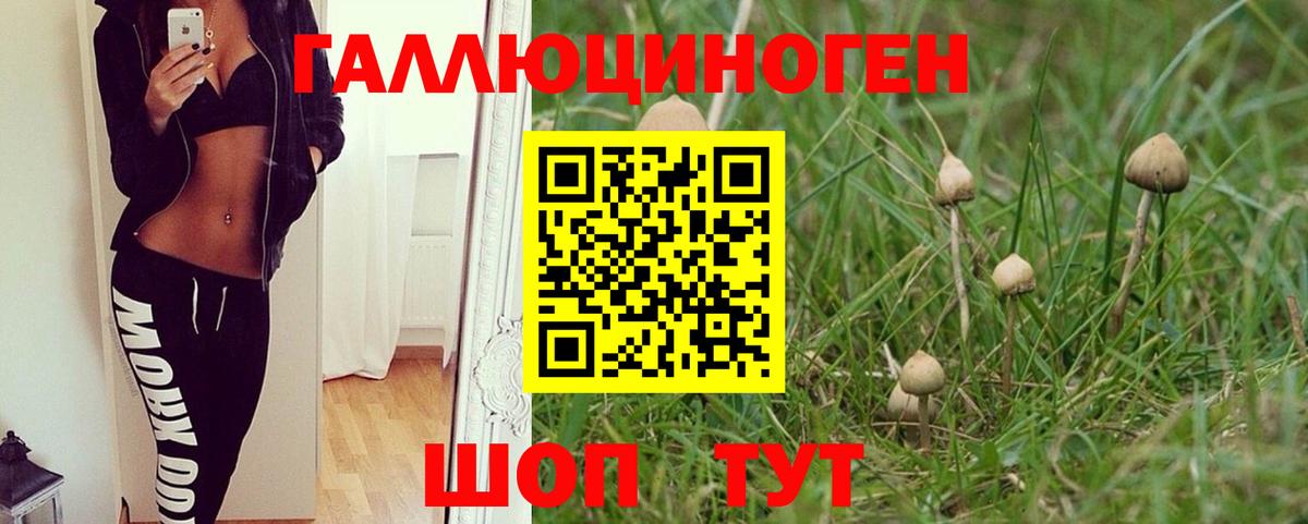 Галлюциногенные грибы Psilocybine cubensis Апрелевка